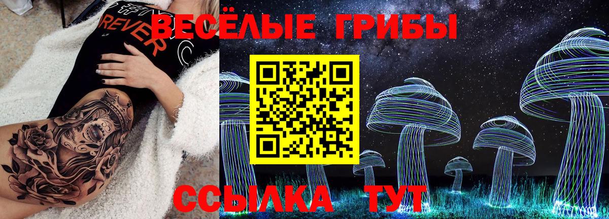 Нижнекамск  Галлюциногенные грибы мухоморы  Вход с VPN 