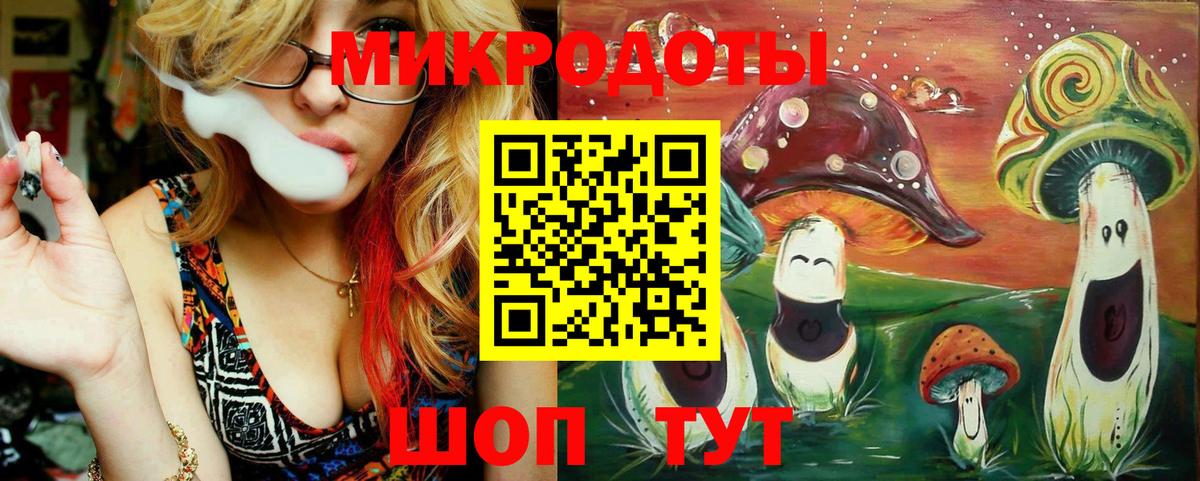 Псилоцибиновые грибы Psilocybine cubensis Нижнекамск
